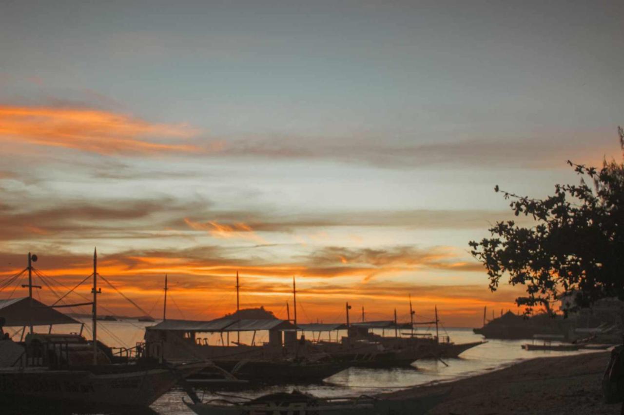 Blue Dolphin Hotel Malapascua Island Logon Exterior photo